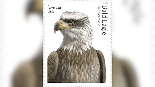 bald eagle stamp 6 2026 05 b632e6f2b24e78cc56dbe42247805eea