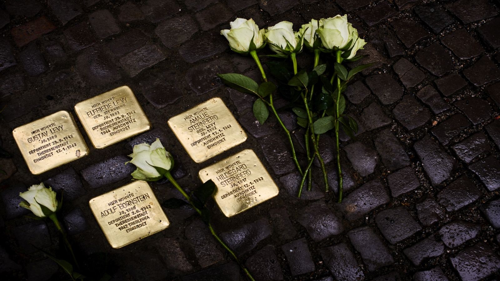 The Concrete Resistance Beneath Berlin’s Feet