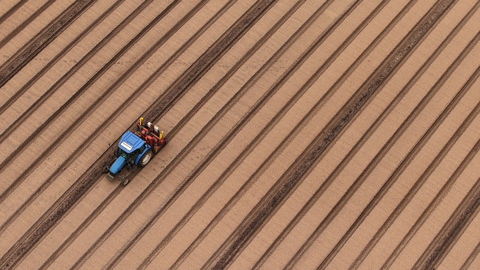 The Anatomy of Sino American Agrarian Bilateralism: A Brutal Breakdown