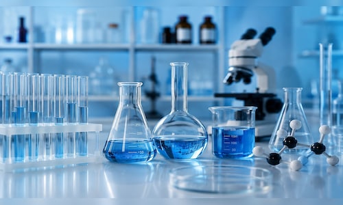 Anupam Rasayan sees strong pharma growth opportunity through Bliss GVS deal
