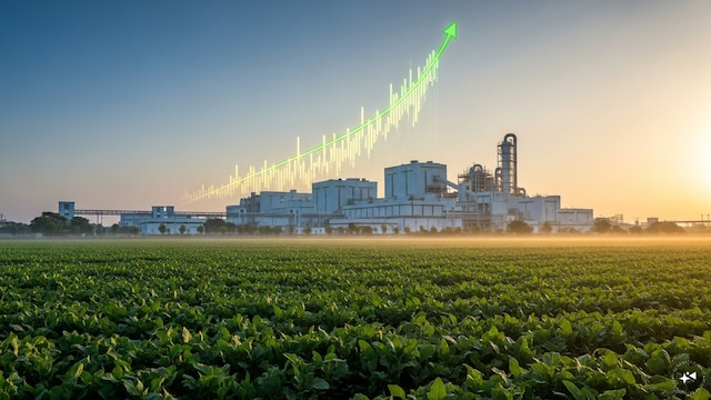 RCF Q4 Results: Profit jumps 2.5x as fertiliser maker reports strong revenue growth