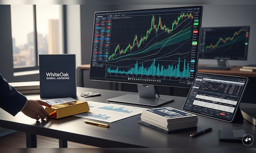 WhiteOak study shows how much equity, gold and debt investors should hold