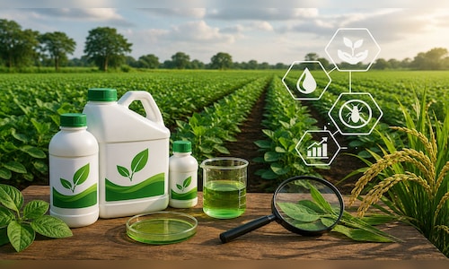 Insecticides India expects double-digit growth in FY27 despite monsoon concerns