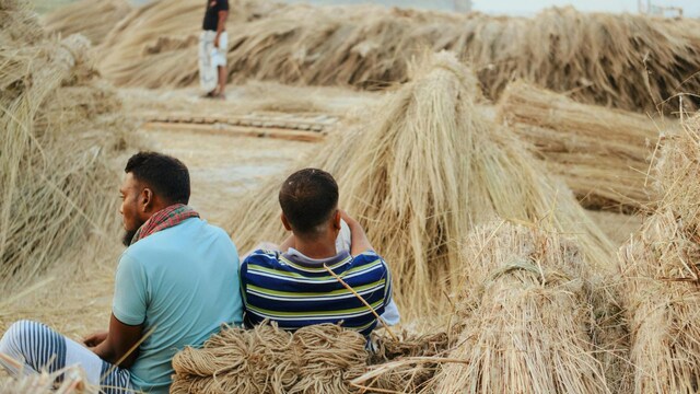 Jute industry seeks new Bengal govt's intervention to tide over raw ...