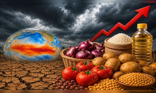 A weak monsoon may not derail growth, but food prices are a concern: CareEdge