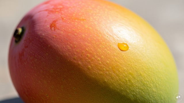 How India cut mango export costs from ₹250 a kg to as low as ₹13 — and why it matters How India cut mango export costs from ₹250 a kg to as low as ₹13 — and why it matters
