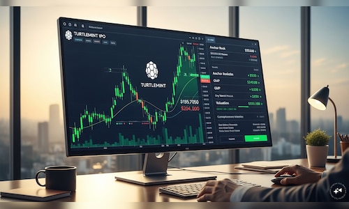Turtlemint IPO opens today: GMP, anchor book, valuation and key things to know