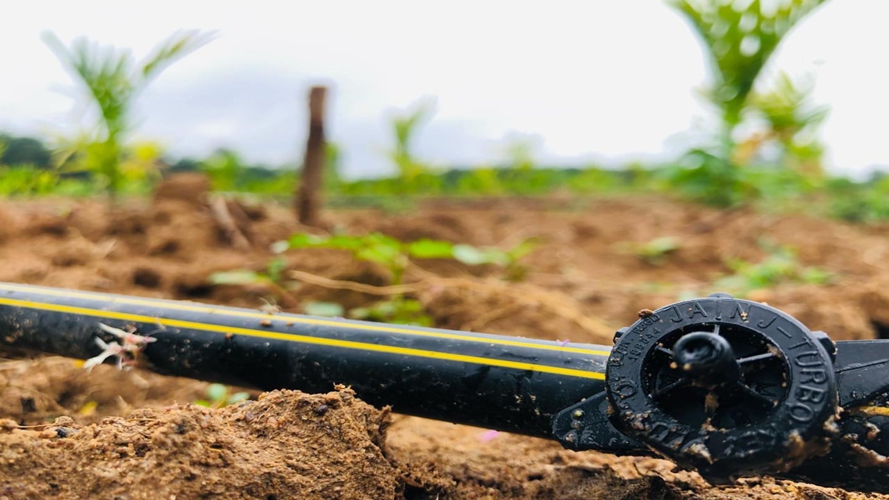 Jain Irrigation commissions 20,000 tonne biochar unit in Maharashtra's Jalgaon