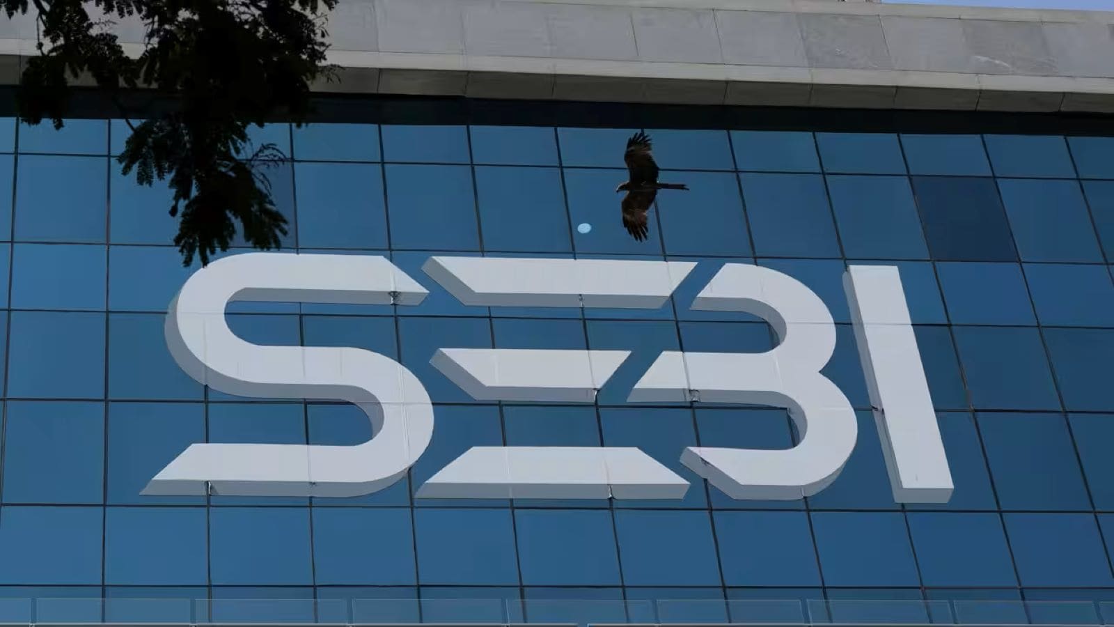 SEBI Board Meeting Highlights: SEBI looks to remove barriers to longer-term derivative contracts