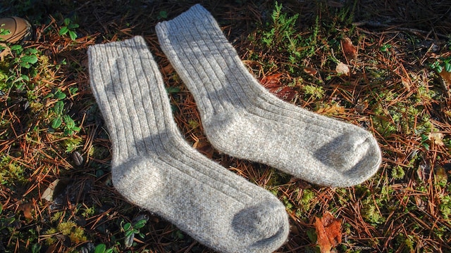 From no-shows to heels: How crew socks became fashion's biggest ...