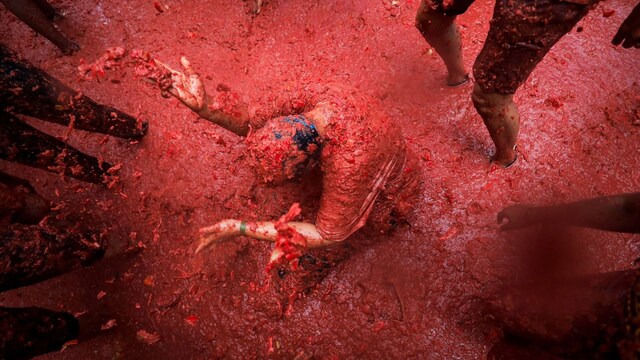 La Tomatina fest. (Image Reuters)
