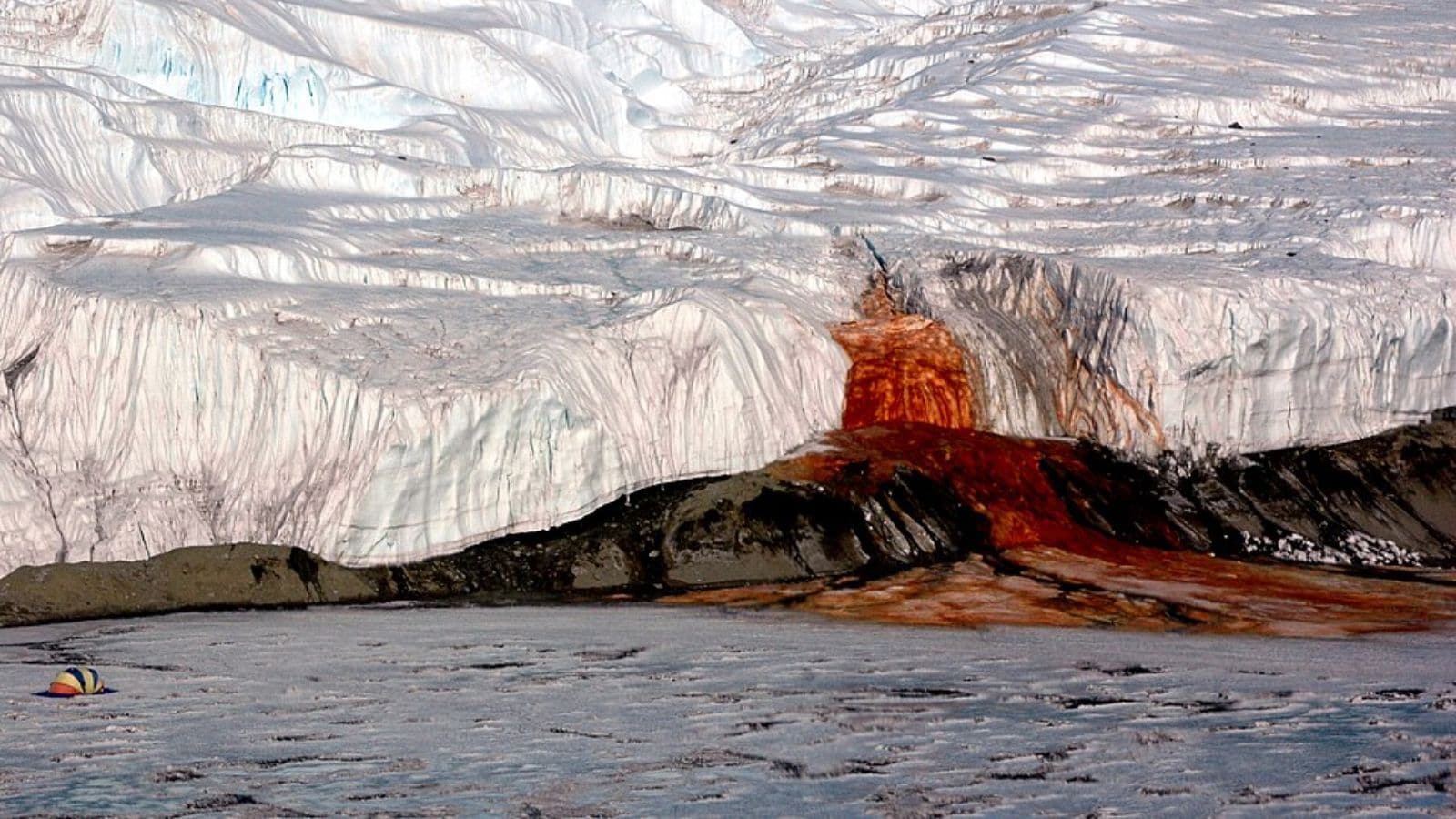 Why Antarctica Bleeds Red And What Scientists Just Discovered