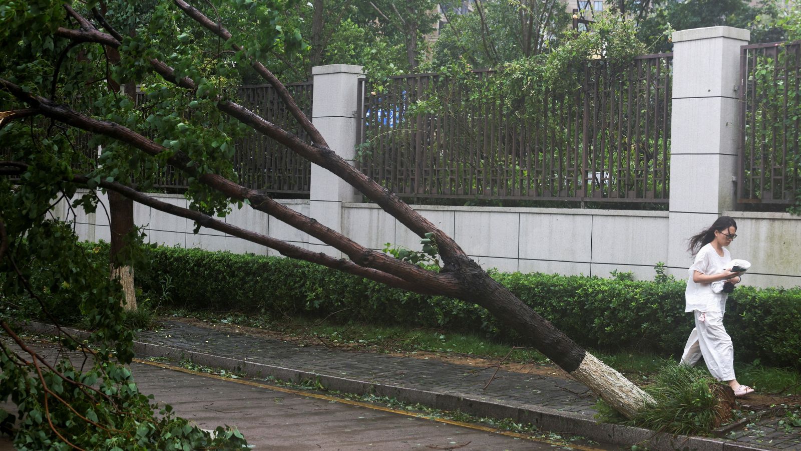 Why Typhoon Bavi Proves Our Current Storm Prep Strategy Needs An Update