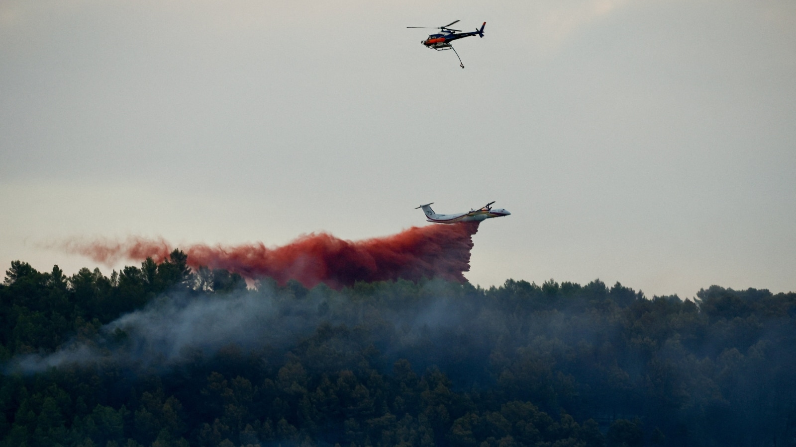 How the Massive Southern France Wildfire Escalated and What It Takes to Stop It
