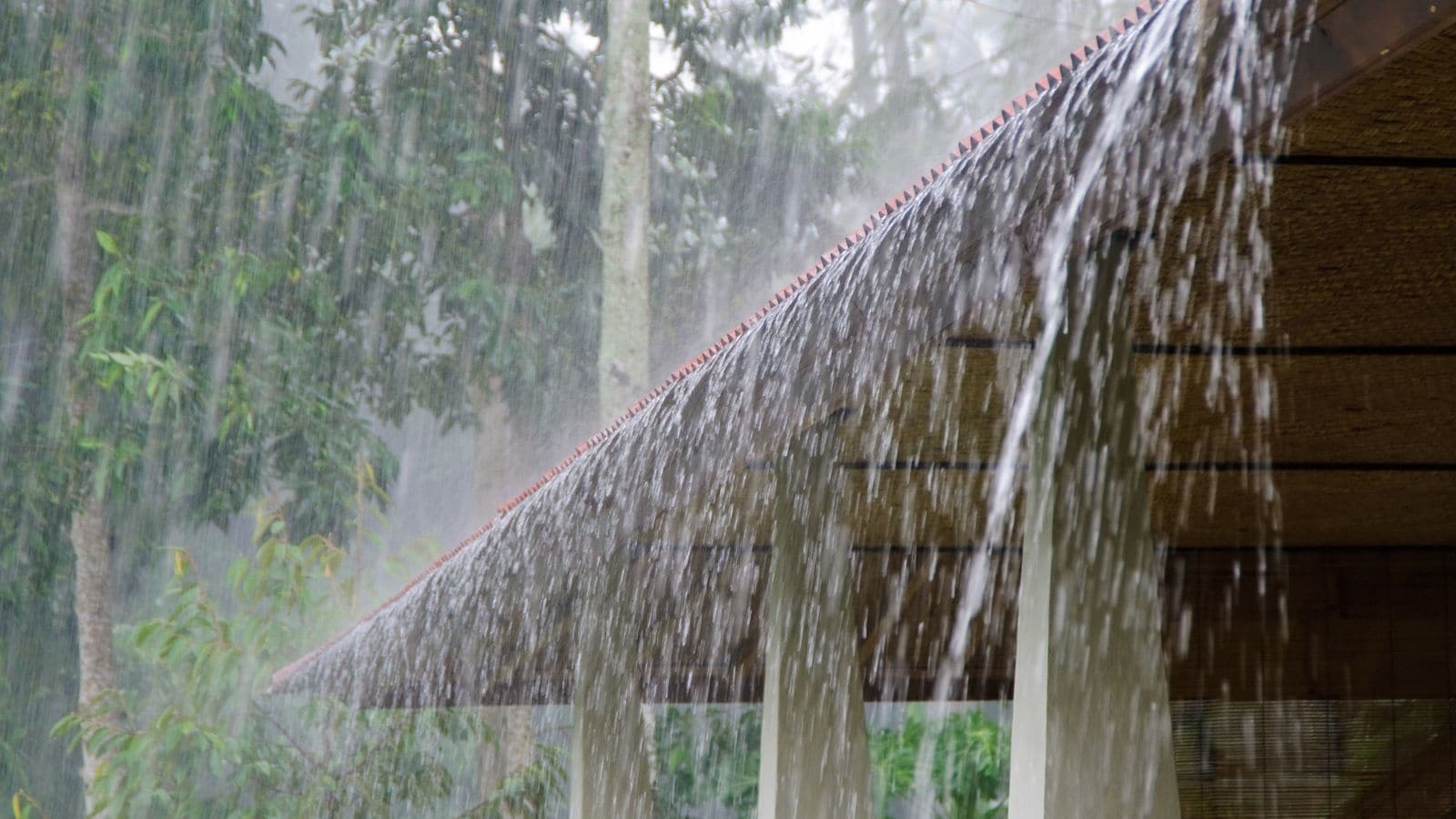 Monsoon Fury: Heavy Rains, Landslides Hit Uttarakhand and Himachal | Quick Digest