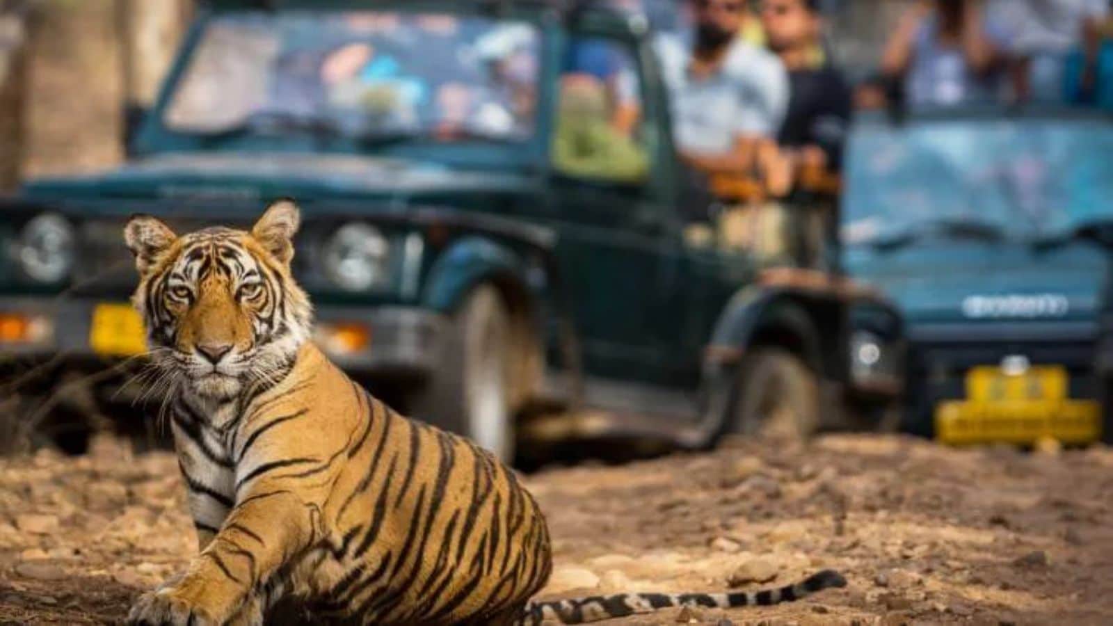 Explore 8 National Parks During Monsoon Season
