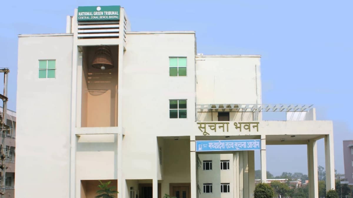 NGT Criticizes Authorities Over Illegal Dairies on Yamuna Floodplains