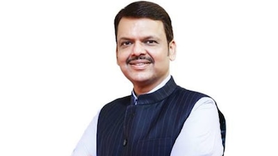 Maharashtra to Issue Drought Mitigation Notification in 3 Days, Seek Central Aid: Fadnavis