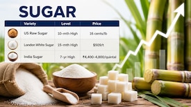 Sugar prices rally 8-10% in India; global supply concerns grow