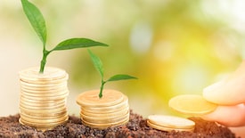 Where to invest in mutual funds now? Experts suggest funds for new and long-term investors