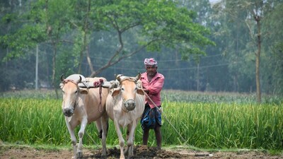 PM-KISAN: Next Instalment Expected October 2026; Eligibility and Payment Details Explained