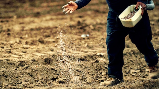 Fertilizers and Chemicals Travancore share price, FACT share price, stocks to watch