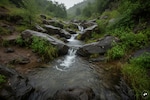 Next time it pours in Delhi NCR, head to these Aravalli trails just 40 km away
