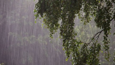 India rains. (Image CNBCTV18.com file)