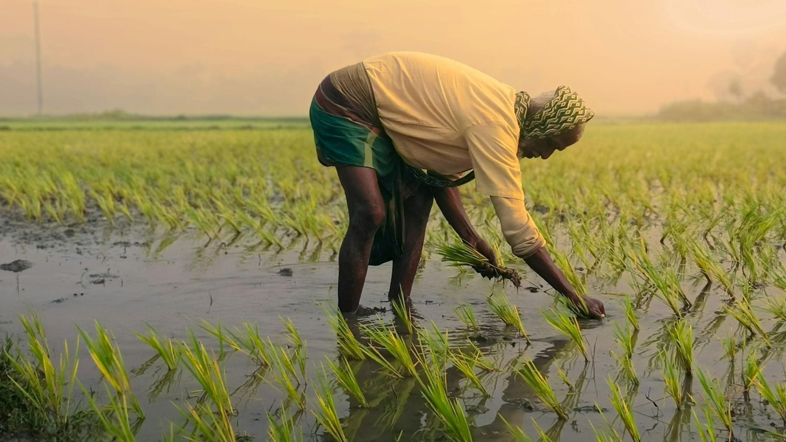 Maharashtra minister invokes RBI rules to curb coercive loan recovery after farmer deaths