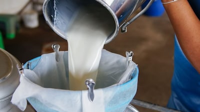 Parag Milk Foods to Invest ₹100 Crore, Quadruple Paneer Capacity to 80 MT/Day