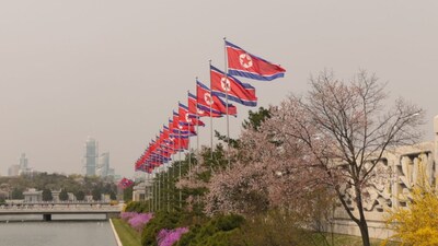 North Korea: The same 1945 turning point for South Korea is honoured north of the border too, since Korea was a single occupied territory before the postwar split created two states. Decades of separate political paths haven't erased this shared origin point in the calendar. Pyongyang typically marks the occasion with large state-organised displays, parades, and tributes to independence-era resistance figures.