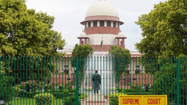 Kerala HC seeks monthly reports from panel on compliance with SC’s stray dog directives