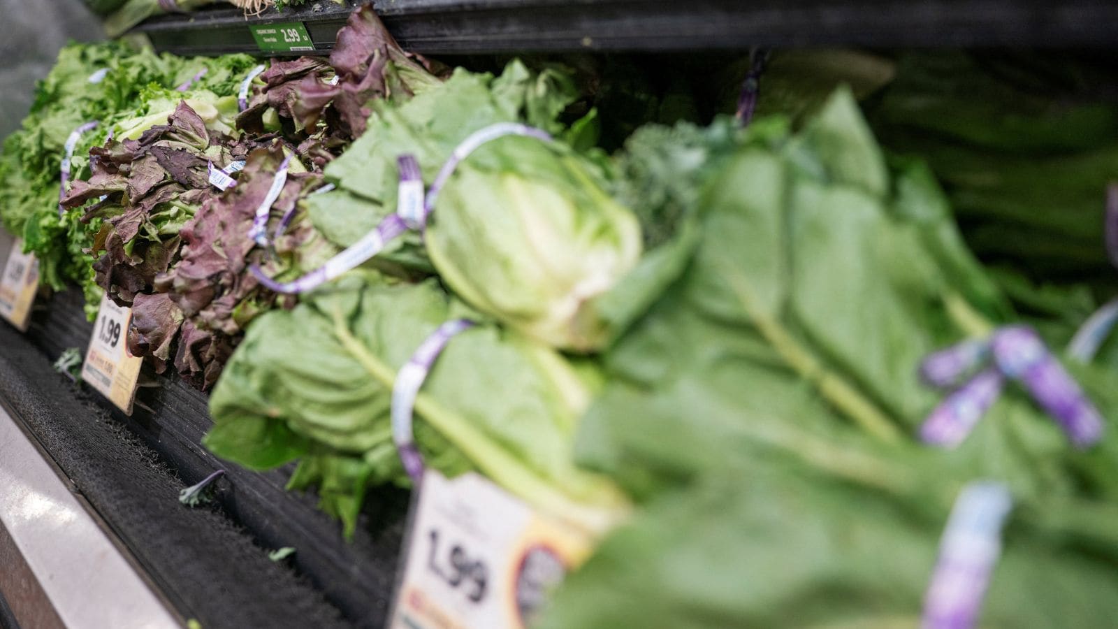 Why Declining Parasite Numbers in Michigan Do Not Mean Your Salad is Safe