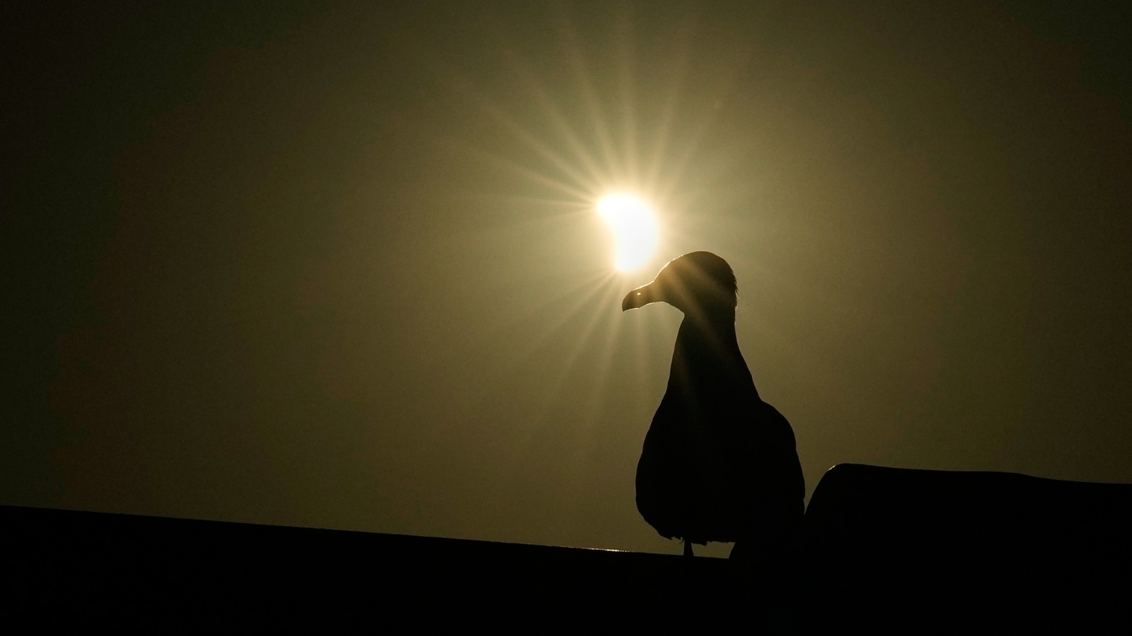 Why The Recent European Solar Eclipse Photos Are Completely Worthless