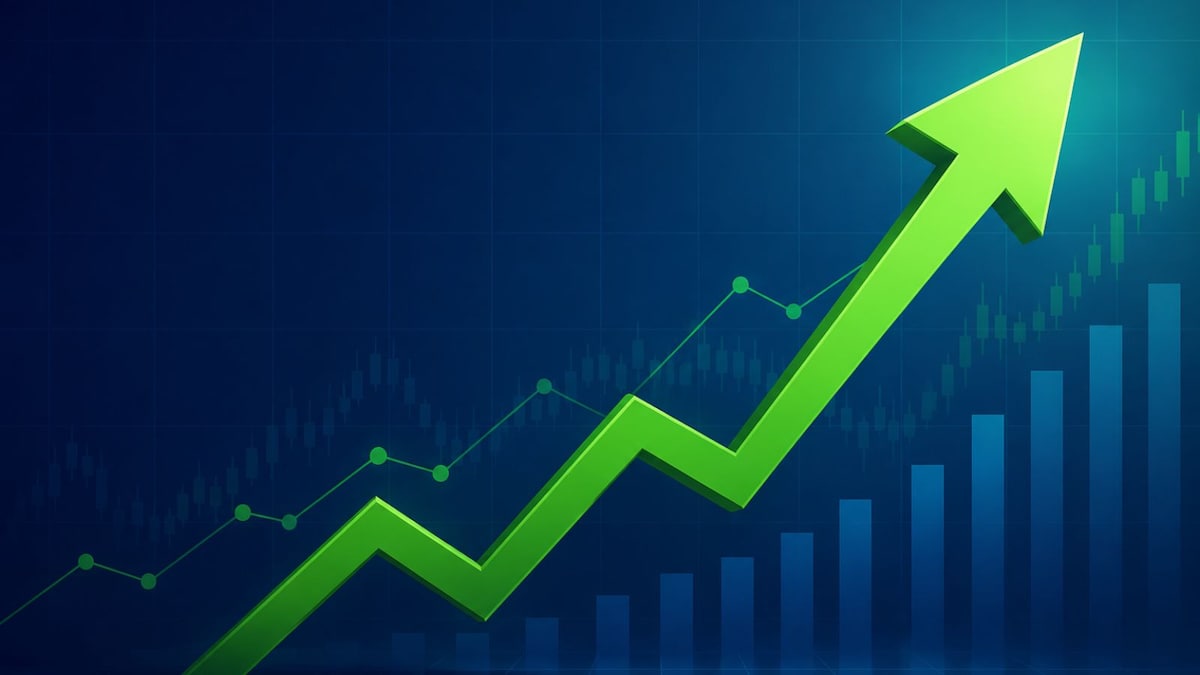 Vellayan Subbiah's group stocks: CG Power, Chola Investment, Tube Investments soar up to 22x
