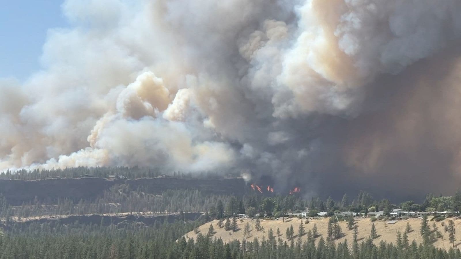 The Anatomy of Washington Wildfires Structural Vulnerabilities and Cascade Failures