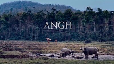 Two Indian Films Eye Oscars: Gondhal is Official Entry, Angh Qualifies via TIFF Win