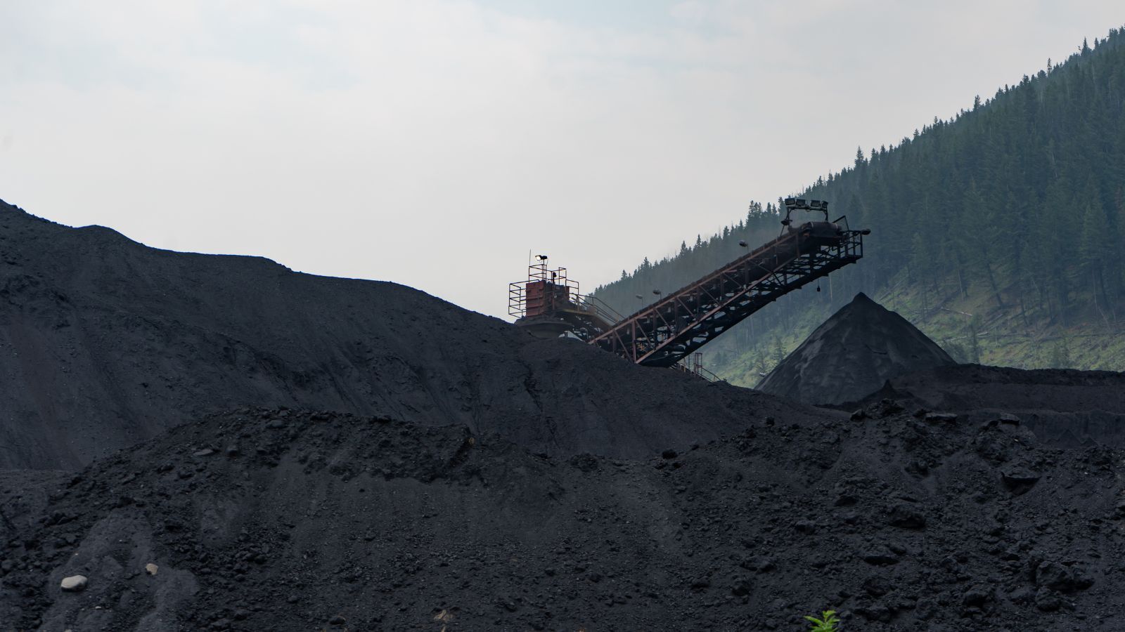 Coal supply to power sector rises 20% in four days to 444 rakes per day