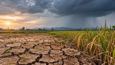 India's Driest Monsoon in a Decade: Threatens Crops, Prices, and Rural Spending