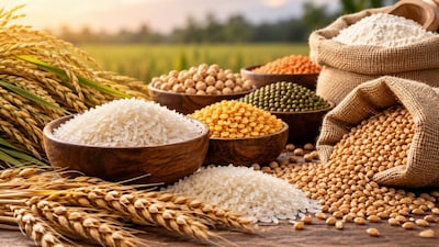 Rice Prices Soar 10-15% Amid Global Shortage; Wheat Stable, Pulses See Modest Gains