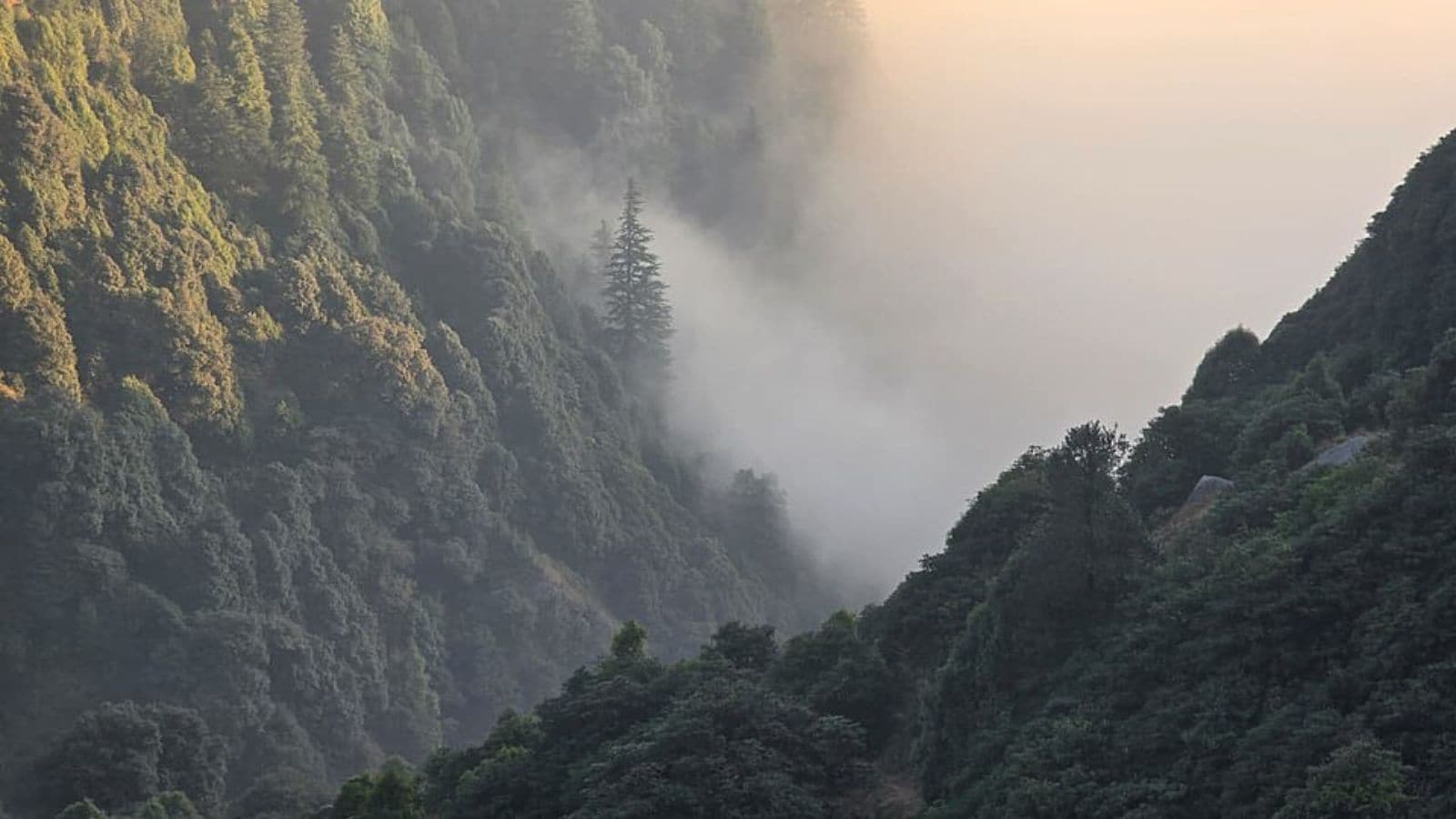 10 high-altitude viewpoints in India where clouds float beneath you