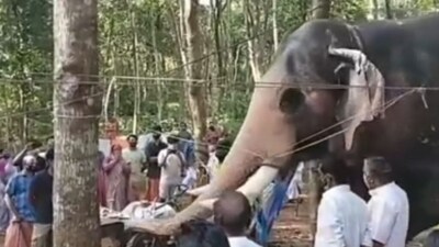 Pallattu Brahmadathan: The Legendary Kerala Tusker Passes Away