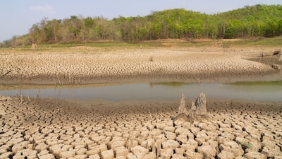 (Representative Image: Canva)