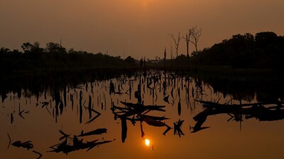El Nino Unleashes Global Crisis with Severe Wildfires, Power Outages and Food Shortages