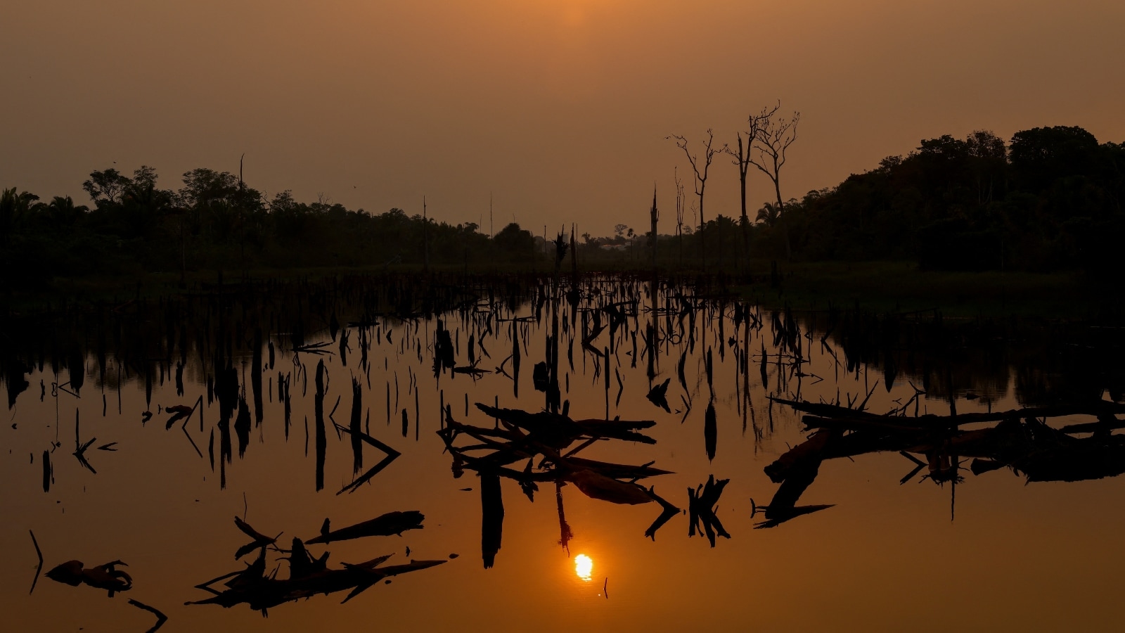 How The El Nino Weather Cycle Triggers Global Crises