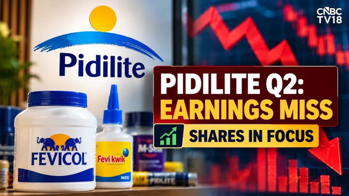 Pidilite shares in focus after Q2 earnings miss; gross margin contracts 640 bps TV18