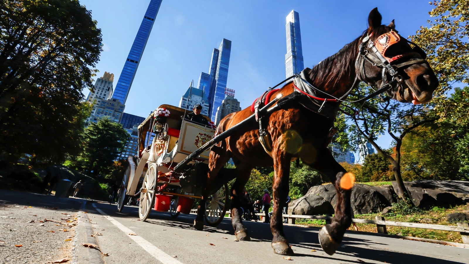Why New York Is Finally Pulling The Plug On Central Park Horse Carriages