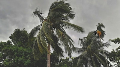 Heavy Rain Forecast Across Northeast While Lucknow Grapples With Severe Flooding