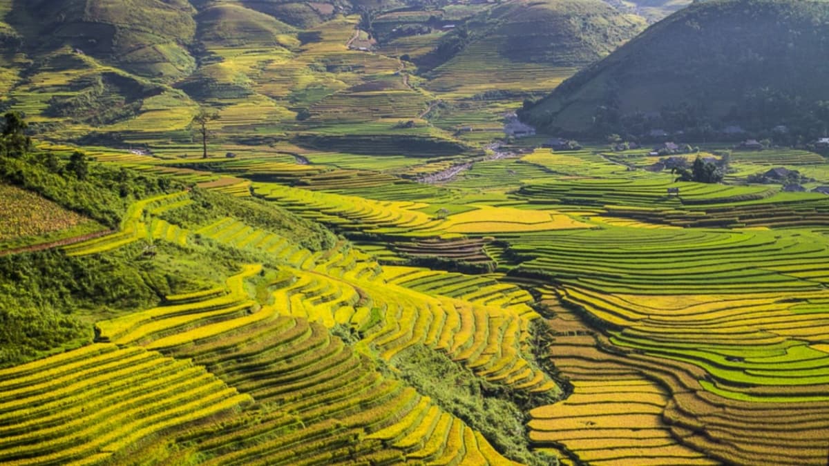 Ifugao Rice Terraces: Ancient-Looking Landscapes, Younger Archaeological Dates
