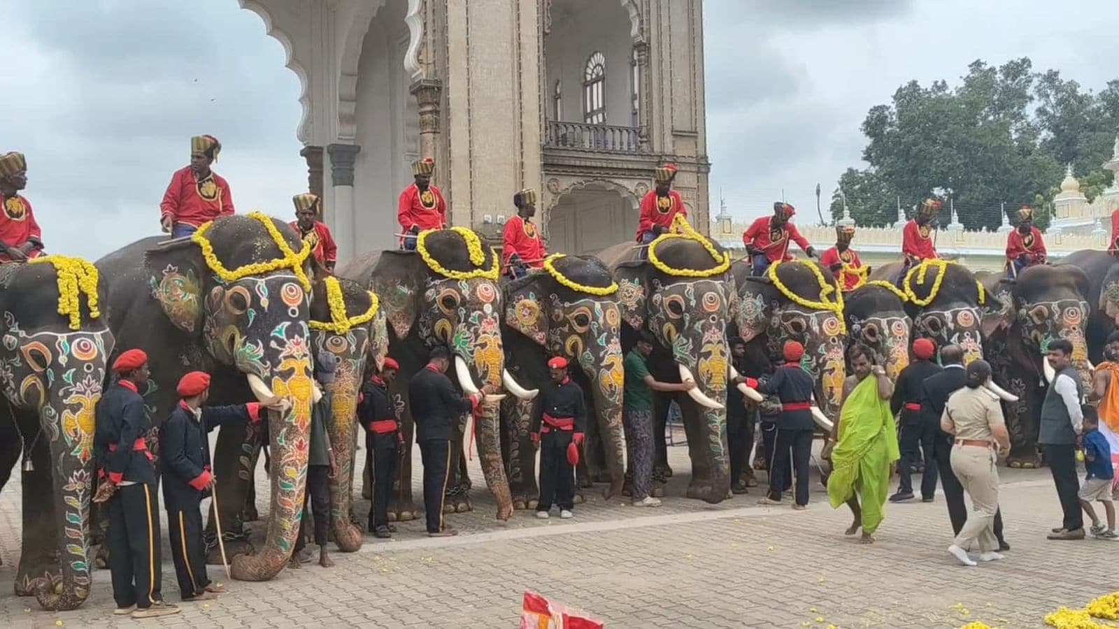 Mysuru Dasara elephants gain up to 285 kg during festival stay; Abhimanyu records highest increase